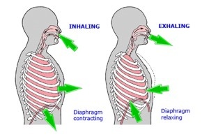diaphragmatic breathing