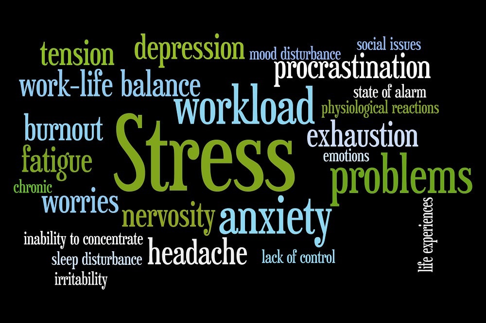 causes of stress