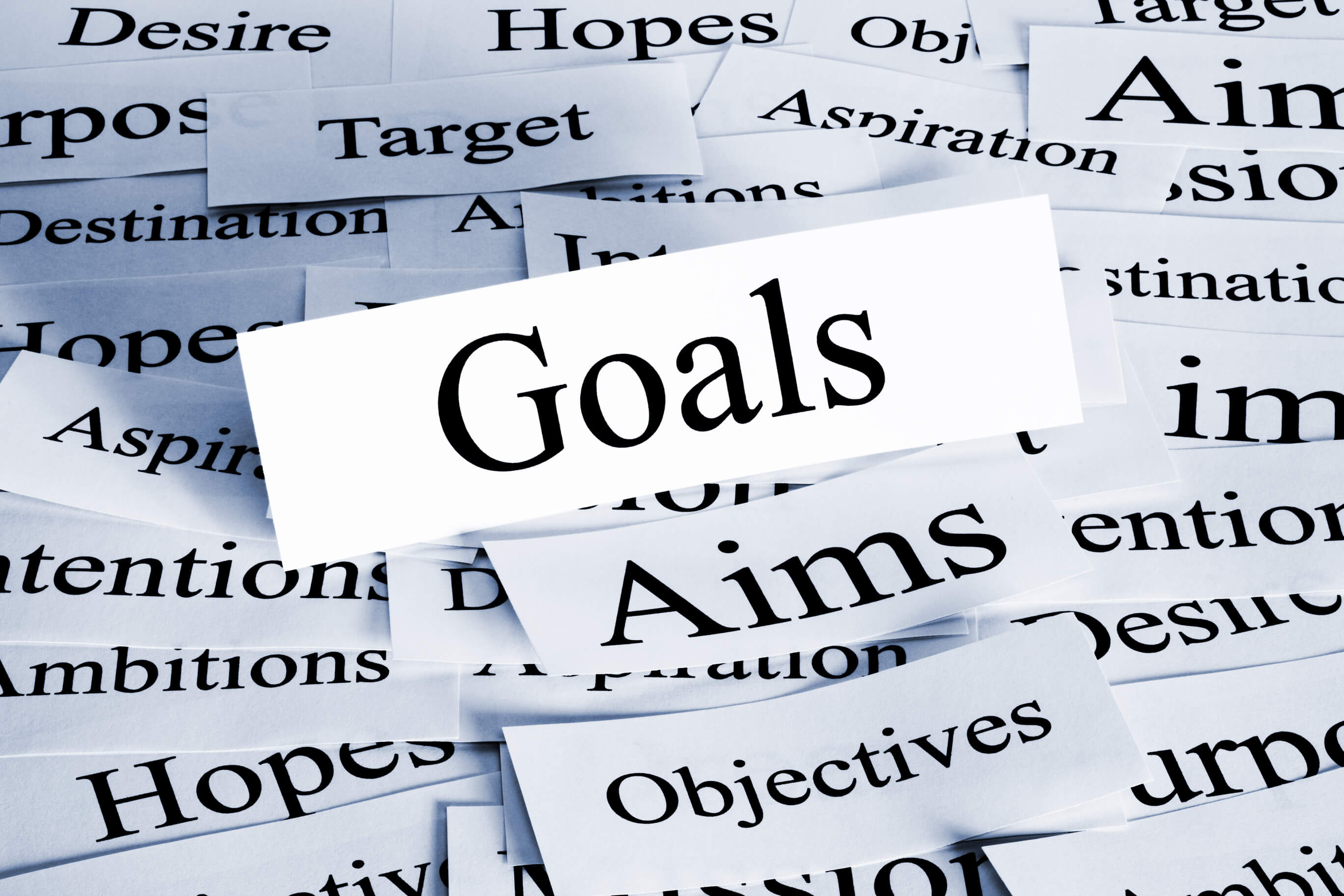 goal setting forms